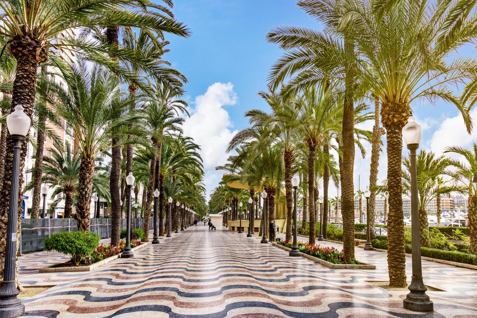 Hb Apartments - Mercado Central - Rambla Alicante - La Suite De La Playa ภายนอก รูปภาพ